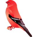 download Gold Finch clipart image with 315 hue color