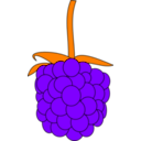 download Simple Raspberry clipart image with 270 hue color