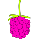 download Simple Raspberry clipart image with 315 hue color
