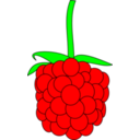 download Simple Raspberry clipart image with 0 hue color