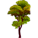 download Colorized Tree clipart image with 315 hue color
