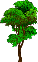 Colorized Tree