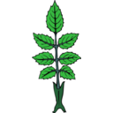 download Wild Rose Branch clipart image with 45 hue color