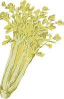 Celery