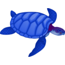 download Green Sea Turtle clipart image with 135 hue color