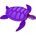 download Green Sea Turtle clipart image with 180 hue color