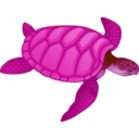 download Green Sea Turtle clipart image with 225 hue color