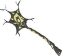 Neuron