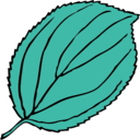 download Serrate Leaf clipart image with 90 hue color