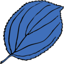 download Serrate Leaf clipart image with 135 hue color