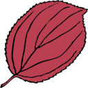 download Serrate Leaf clipart image with 270 hue color