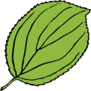 download Serrate Leaf clipart image with 0 hue color