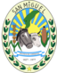 Escudo De La Municipalidad De San Miguel Corrientes Argentina
