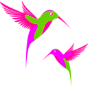 download Colibri Birds clipart image with 270 hue color