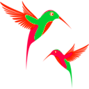 download Colibri Birds clipart image with 315 hue color