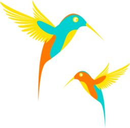 Colibri Birds