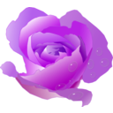 download Rose With Drops clipart image with 270 hue color