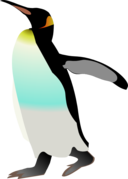 Emperor Penguin