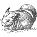 download Grayscale Chinchilla clipart image with 225 hue color