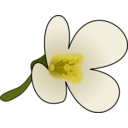 download Thaliana Flower clipart image with 0 hue color