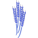 download Wheat clipart image with 180 hue color