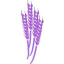 download Wheat clipart image with 225 hue color
