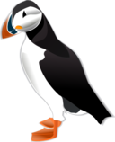 Puffin