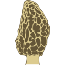 download Morel Mushroom clipart image with 0 hue color