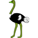 download Ostrich clipart image with 45 hue color