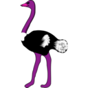 download Ostrich clipart image with 270 hue color