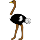 download Ostrich clipart image with 0 hue color