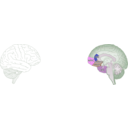 download Human Brain clipart image with 270 hue color