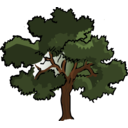 download Oak Tree clipart image with 0 hue color
