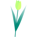 download Tulip clipart image with 90 hue color