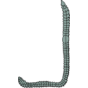 download Earthworm clipart image with 135 hue color