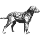 download Chesapeake Bay Retriever clipart image with 0 hue color