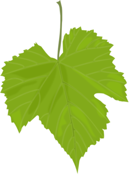 Grape Leaf Clipart I2clipart Royalty Free Public Domain Clipart