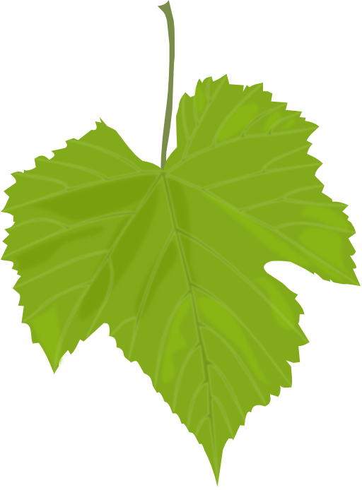 Grape Leaf Clipart I2clipart Royalty Free Public Domain Clipart