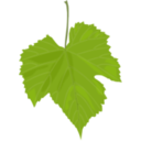 download Grape Leaf clipart image with 0 hue color