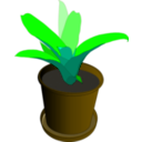 download Bromeliad In A Pot clipart image with 45 hue color