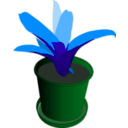 download Bromeliad In A Pot clipart image with 135 hue color