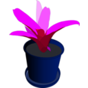 download Bromeliad In A Pot clipart image with 225 hue color