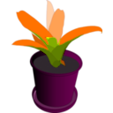 download Bromeliad In A Pot clipart image with 315 hue color