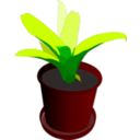 download Bromeliad In A Pot clipart image with 0 hue color