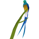 download Quetzal clipart image with 45 hue color