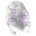 download Fingerprint clipart image with 270 hue color