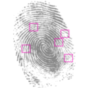 download Fingerprint clipart image with 315 hue color