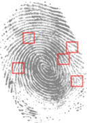 Fingerprint