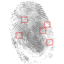 download Fingerprint clipart image with 0 hue color