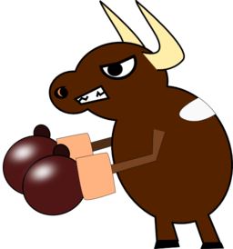 Fighting Cow